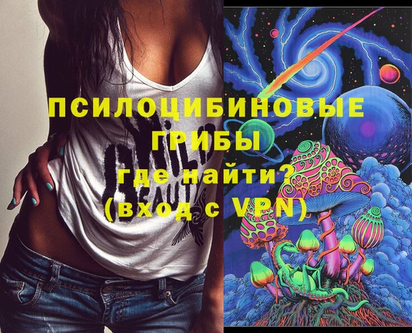 марки nbome Богданович