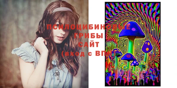 синтетический гашиш Богородицк