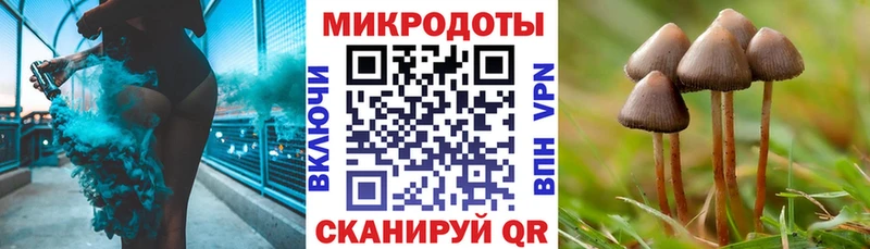 Купить  Чулым  Галлюциногенные грибы Psilocybe 
